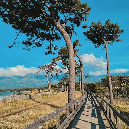 Proche De La Appartement Calvi (Corsica)