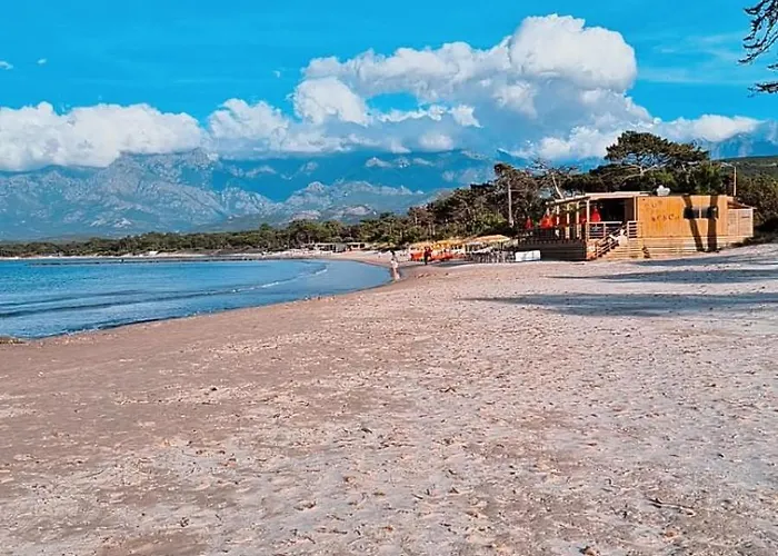 Appartement Proche De La