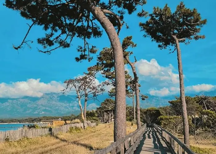 Proche De La Appartement Calvi (Corsica)